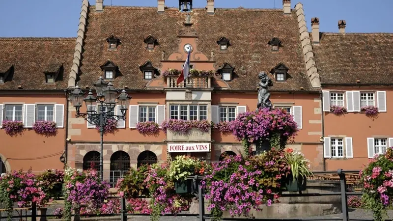 Les vignobles de Barr sur la Route des Vins d'Alsace