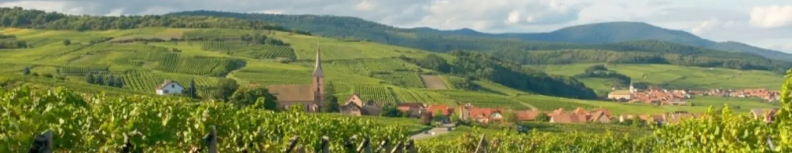 Blienschwiller et ses vignes, Route des Vins du Bas-Rhin