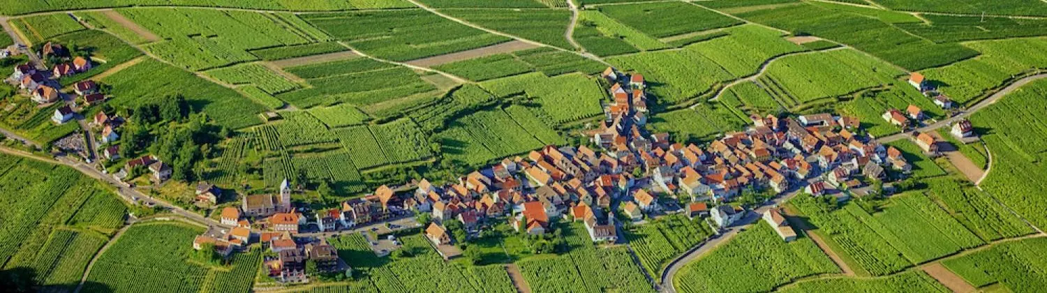 Itterswiller et ses vignes — l'un des villages fleuris les plus photographiés de la Route des Vins d'Alsace