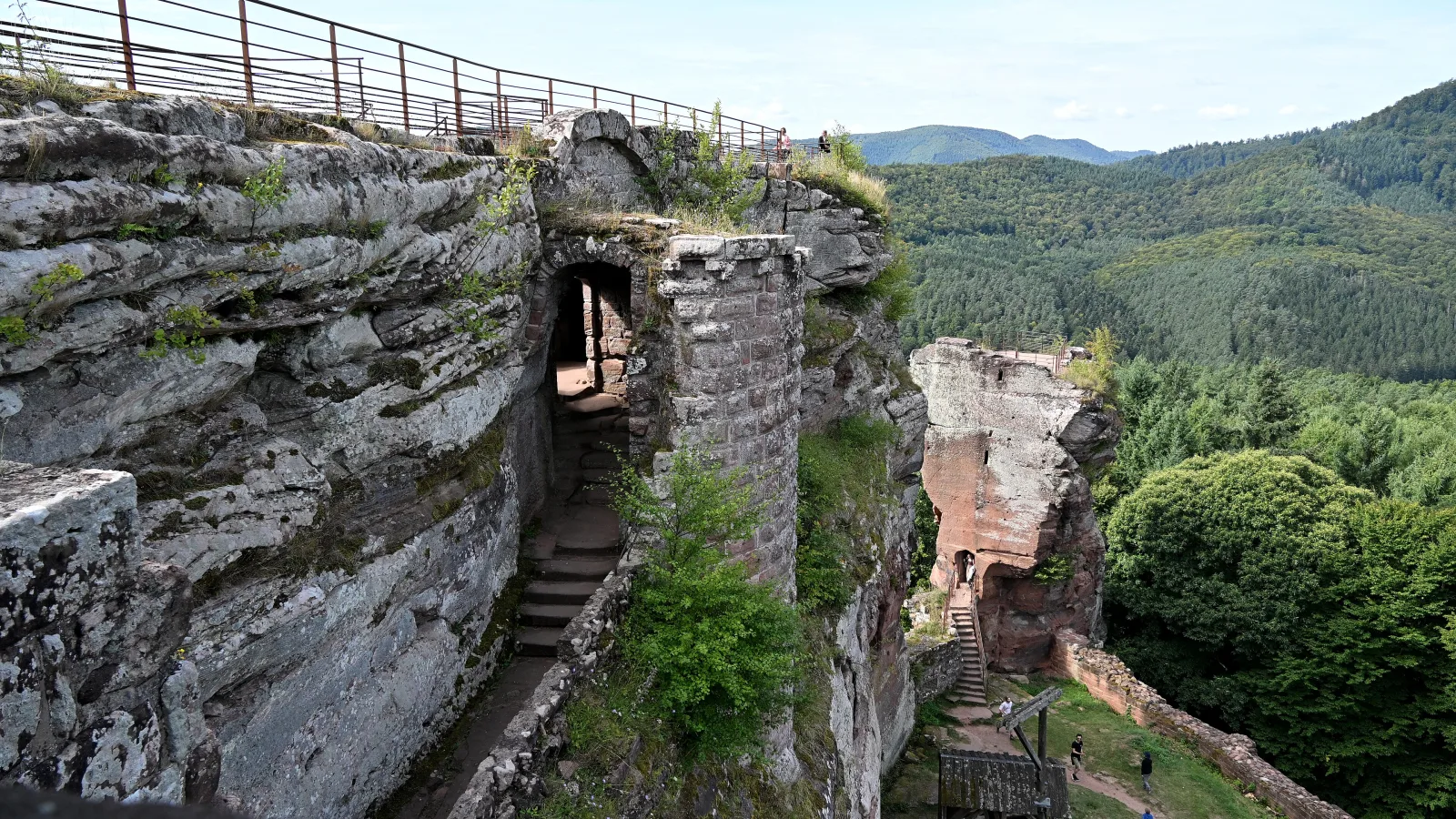 Le château de Fleckenstein, escalier et tour taillés dans le grès, au-dessus de la forêt des Vosges du Nord